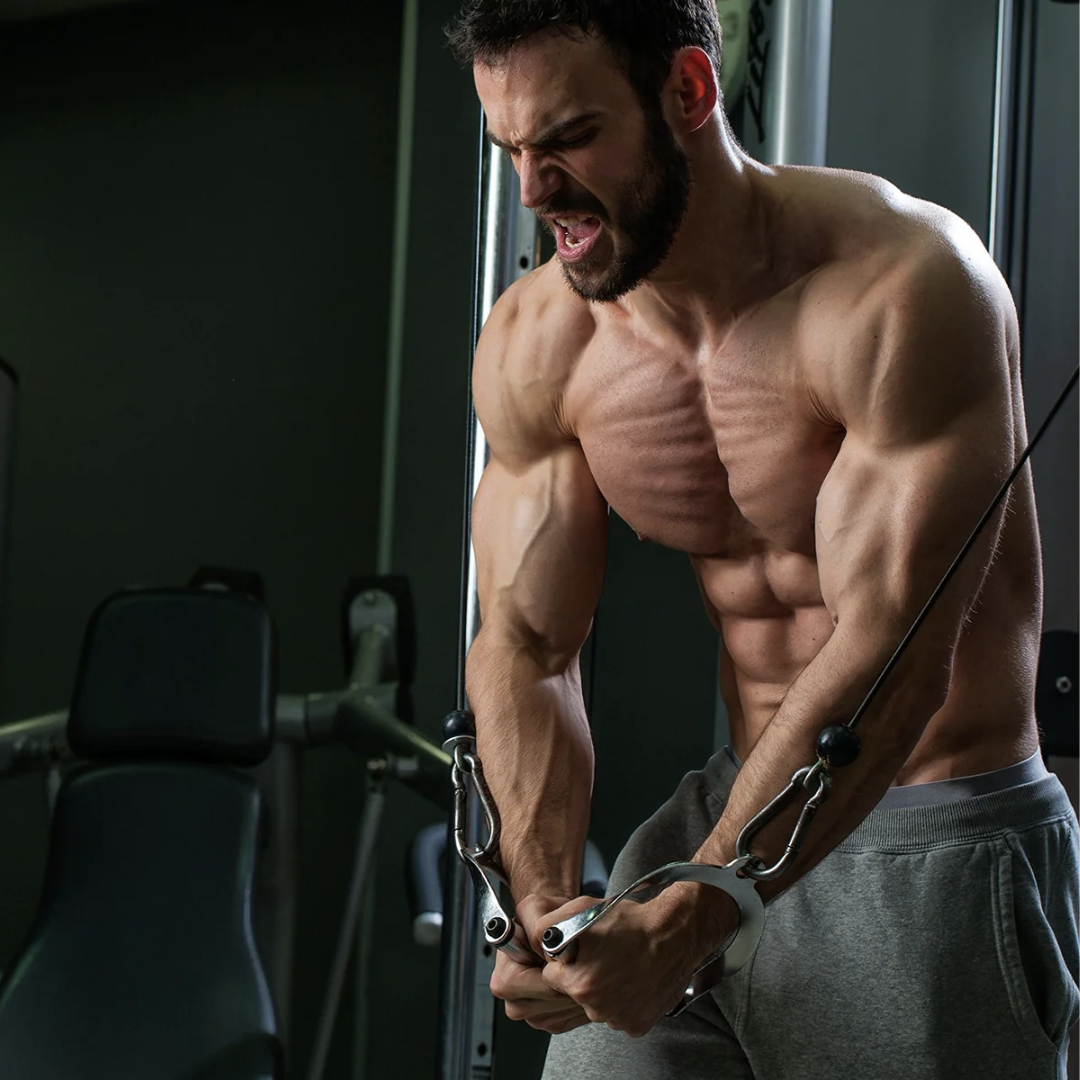 Ручка York Fitness для тяги з гумовою рукояткою, хром — мініатюра 6
