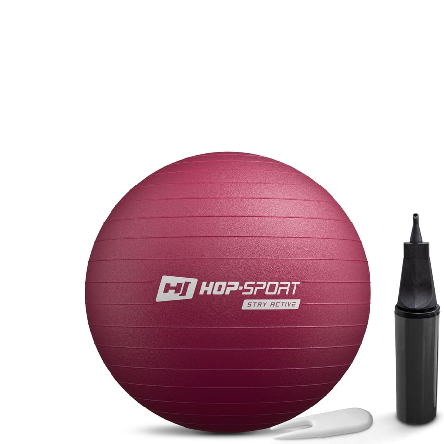 Фітбол Hop-Sport 45см HS-R045YB сливовий + насос — фото 1